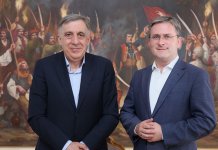 Селаковић и Цицовић о промоцији српске културе