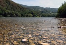 У Дрини пронађено тијело дванаестог мигранта