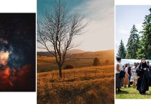 Најљепша фотографија „Златна гора“ Филипа Шакоте