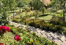 Изабрана најљепша дворишта и балкони