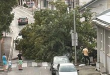 Причињена штета у пољопривреди, на кућама и аутомобилима