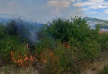 У посљедња 24 часа угашено 15 пожара