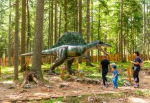 Равна планина: Јединствене атракције привукле рекордан број посјетилаца