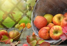 Првог дана јесени претежно сунчано, до 26 степени Целзијусових