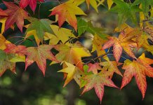 Сутра мало топлије, понегдје киша