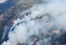 Киша гаси ватру