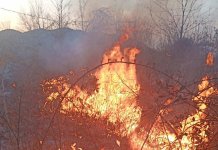 Пожар се распламсао, потребно више људи на гашењу
