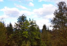 Данас разведравање, увече ново наоблачење