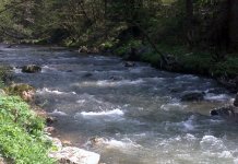 Благо изливање водотока у Рогоушићима и Кадином Селу
