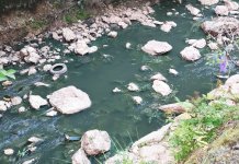 Миљацка данас: Ријечна љепотица угушена загађењем