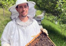 Коста Шумар први који ће се бавити вјештачком оплодњом пчела