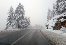 Путеви очишћени од снијега, уклањају се оборена стабла