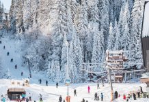 Позив за бесплатан паркинг на Јахорини