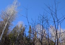 Током дана биће топло за ово доба године