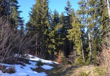 Сутра сунчано, уз малу облачност