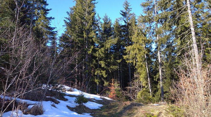 Данас сунчаније и топлије