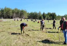 Почело прољећно пошумљавање на површини од 18 хектара
