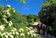 Романија ускоро добија нову планинарску стазу