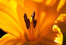 Од сутра нови топлотни талас