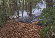 Пожар на брду Тмор угашен, причињена материјална штета