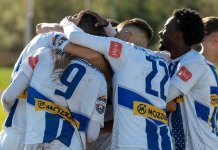 Паљани славили у Војковићима