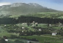 Каловита брда: Судбина једне школе и нестанак шуме Каловита брда су некада била прекривена густом црногоричном шумом, због које су људи из цијеле Краљевине овдје долазили на чист планински ваздух и одмор.