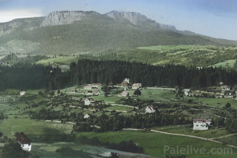 Каловита брда су некада била прекривена густом црногоричном шумом, због које су људи из цијеле Краљевине овдје долазили на чист планински ваздух и одмор.