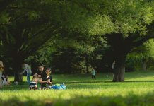 Манифестација „Природа и породица“ на Двориштима 23. августа