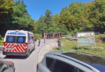 Смртно страдао возач камиона на путу према Гацку