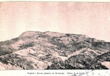 Ловачке приче из „Наде“: Природа и људи Пала 1895. године