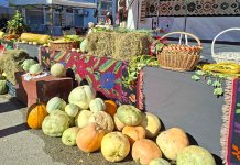 Највећа тиква тежила 57,9 килограма