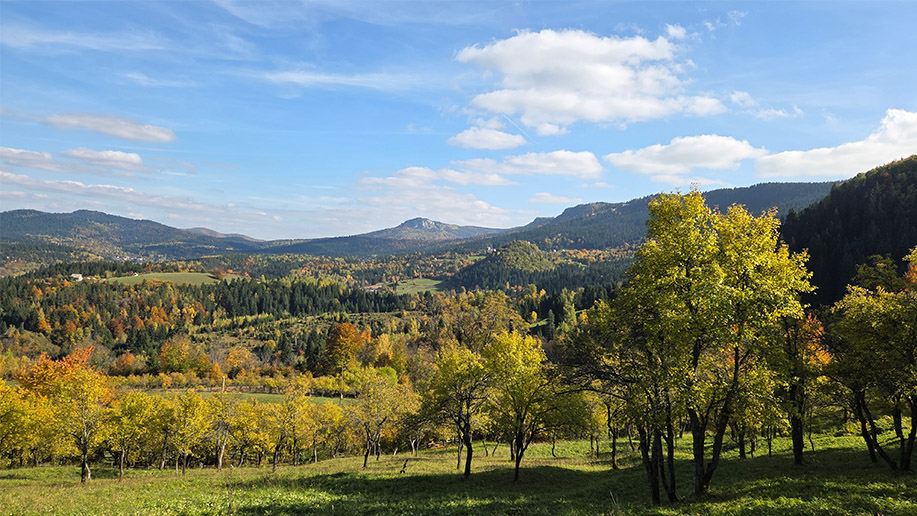 jesen - begovina - suncano