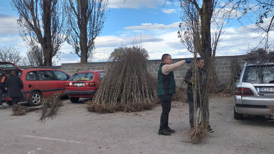 podjela sadnica vlasenica