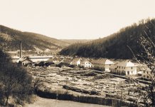 Како је Фелтринели освојио босанске шуме: Успон и одлазак једног дрвног гиганта