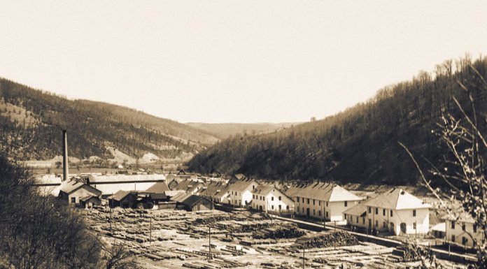 Како је Фелтринели освојио босанске шуме: Успон и одлазак једног дрвног гиганта