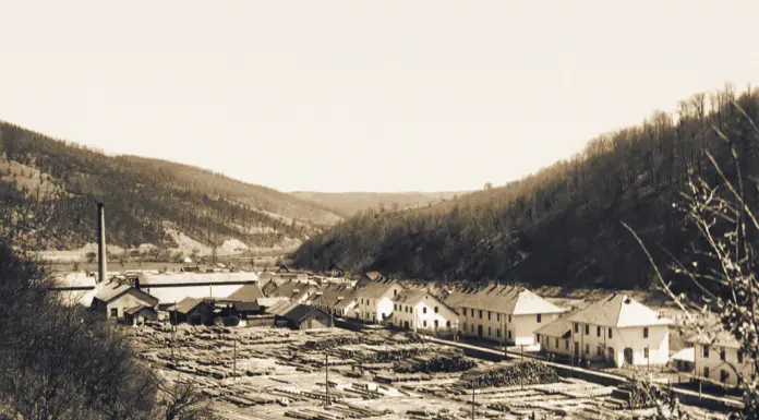 Како је Фелтринели освојио босанске шуме: Успон и одлазак једног дрвног гиганта