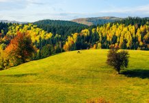 Данас претежно сунчано и топло