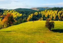 Данас претежно сунчано и топло