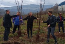 Саднице шљиве добила 133 пољопривредника