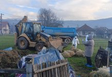 У Источној Илиџи еутаназирано стадо оваца због бруцелозе