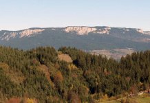 Војводић: Очување природних извора питке воде најважнији задатак