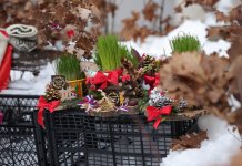 Бадњаци, жито и украси већ на улицама