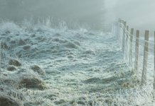 Упозорење на ниске температуре током ноћи, на планинама до минус 20