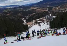 Паљанске наде на међународној сцени: Лучић, Черемиџић, Мрдић и Југовић у репрезентацији БиХ