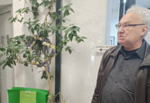 Цвијети су празник љепоте, здравља и народних обичаја