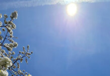 Сунчан и топао дан, температура до 27 степени Целзијусових