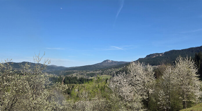 Ујутру мраз, током дана сунчано и топлије