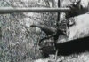 Жепа: Сјећање на једну колону и једну генерацију