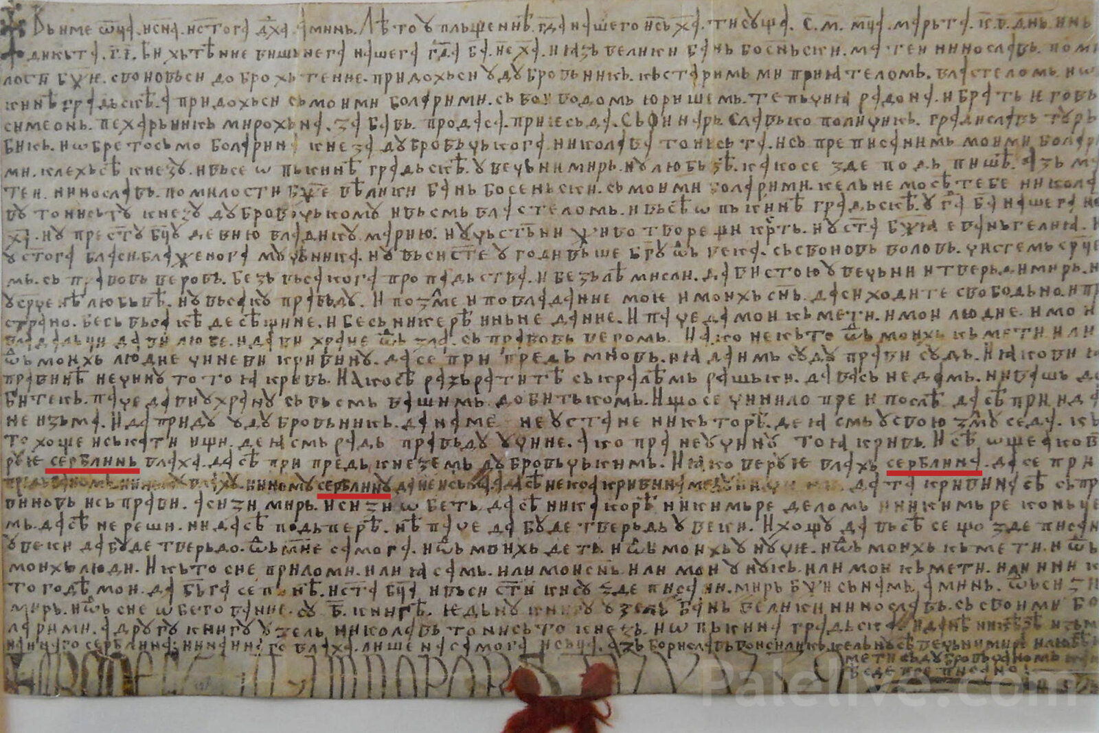 Заклетва бана Матеја Нинослава Дубровчанима од 22. марта 1240. године, у којој се три пута помињу Срби као народ Босне. У доњем лијевом углу види се грчки крст са проширеним крајевима кракова, док је крст на почетку повеље изведен у стилизованом облику.