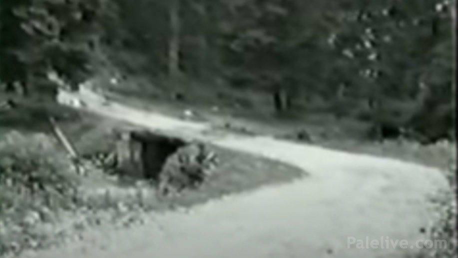 Фотографија моста преузета са видео записа А-БиХ снимљеног непосредно послије трагичног догађаја
